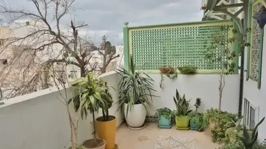 Dar Souad - 103