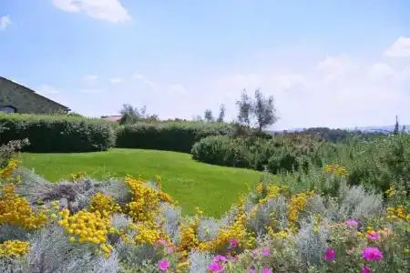 Podere Il Pino - 32