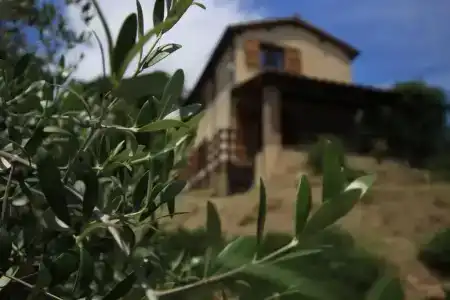 Agriturismo Boschi di Montecalvi - 21