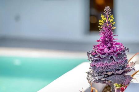 Siete Mares Luxury Suites - 59