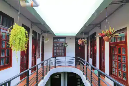 Minh Hung - 20