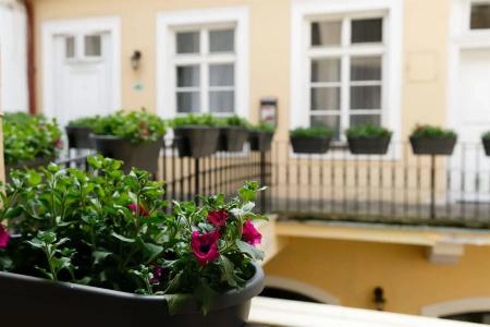 Pension U Lilie - 15
