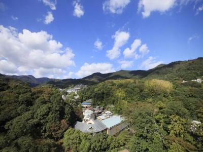 Yugawara Ohnoya Ryokan - 58