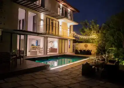 The Mangrove - 13