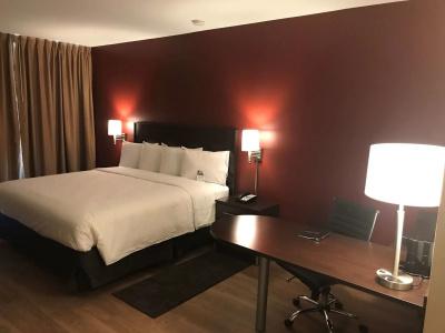 Red Roof Inn Plus+ & Suites Houston – Iah Airport Sw - 2