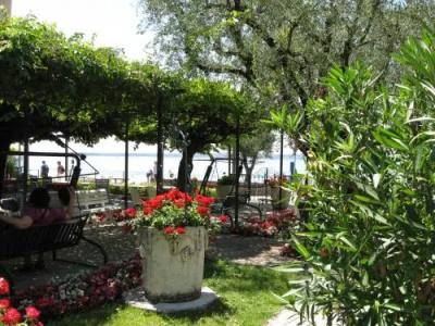 Giardino - 9