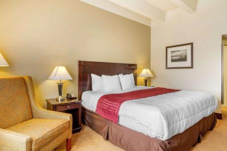 Quality Inn Denver Downtown - 25
