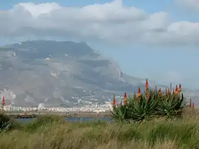- Vista Egadi - - 31