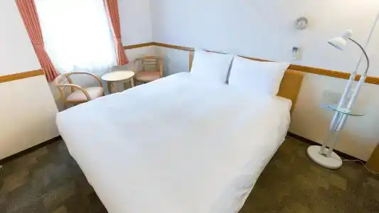 Toyoko Inn Ekimae - 6