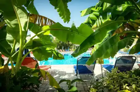 Sunrise Zante - Adults Only - 29
