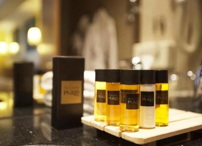 Ski Plaza & Wellness - 57