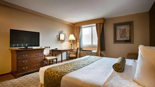 Best Western Court - 28