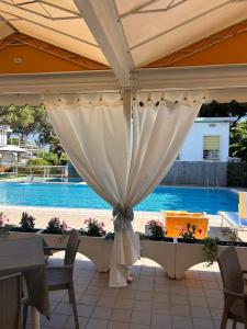 Palm Beach - 13