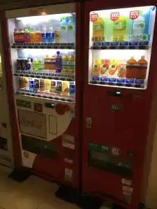 Kiyoshi Nagoya No.1 - 10