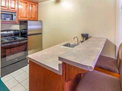Quality Inn & Suites Downtown - 59
