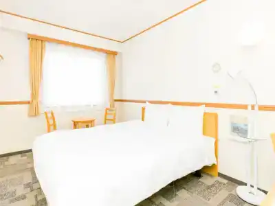Toyoko Inn Ekimae - 8