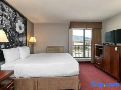Quality Inn & Suites - 25