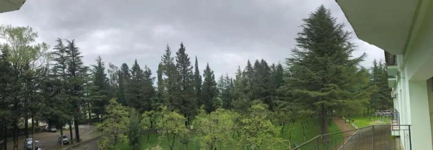 Imeri Park - 48
