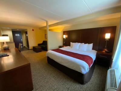Comfort Suites North - 77