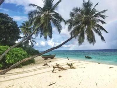 Island Host - 7