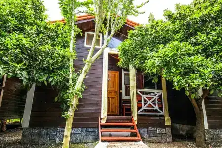 Sunrise Bungalows - 21