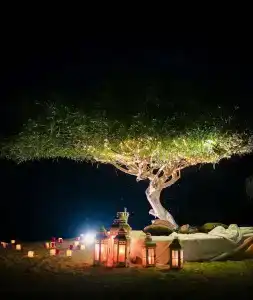Thalassines Villas - 33