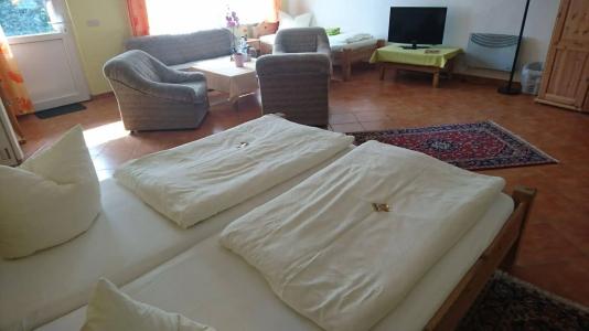-Pension Am Mühlberg - 6
