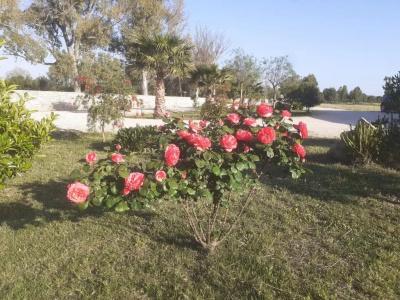 Residenza Case Arse - 11