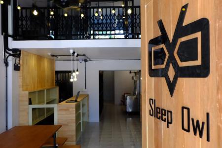 Sleep Owl - 28