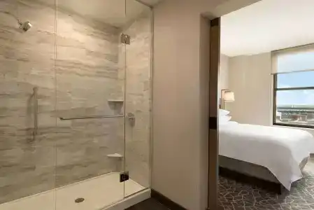 Embassy Suites By Hilton Minneapolis Downtown - 4