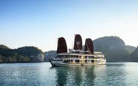 Orchid Trendy Cruise - 54