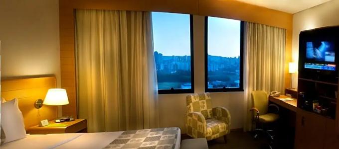 Holiday Inn Parque Anhembi, An Ihg - 92