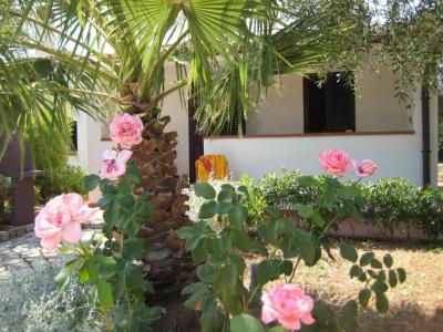 Residence Villantica - 292