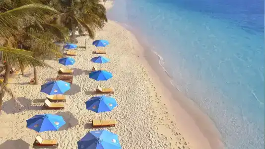 Orange Resort - 32