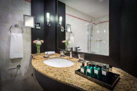 Sofitel Strasbourg Grande Ile - 9