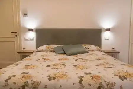 Rosa di Assisi - 45