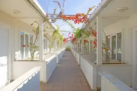 Grand Emir Spa - 53