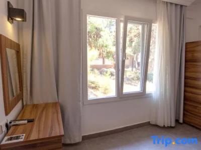 Çamlık 87 Ayvalık - 56