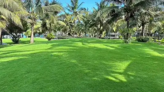 Sonata Resort & Spa - 60