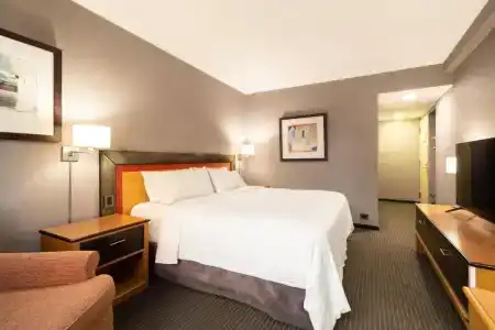 Holiday Inn Express Puerto Madero, An Ihg - 60