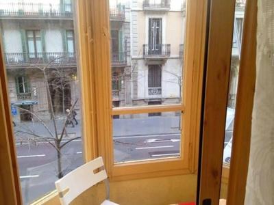 Balmes Centro - 15