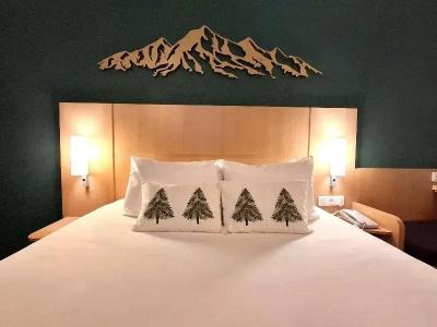 ibis Annecy Centre Vieille Ville - 95