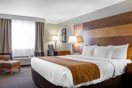 Comfort Inn & Suites - 42