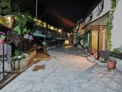 Art Garden Hostel and Tours - 10