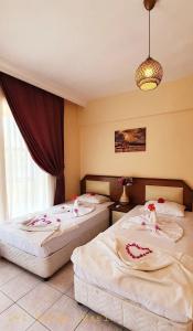 Palmen Apart - 114