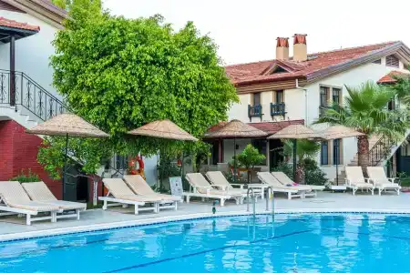 Portakal Dalyan - 9