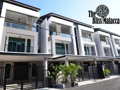 The Bliss - 0