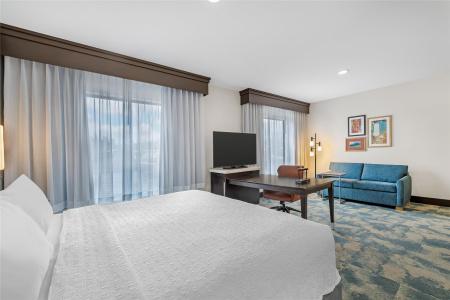 Hampton Inn & Suites - 59