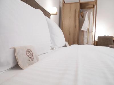 Anastazia Luxury Suites & Spa - 5