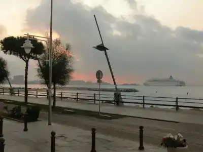 Rosamar - 8